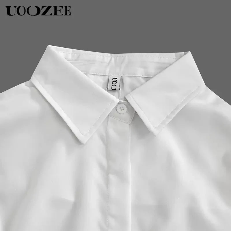 Oversized Collared Polyester Blouse